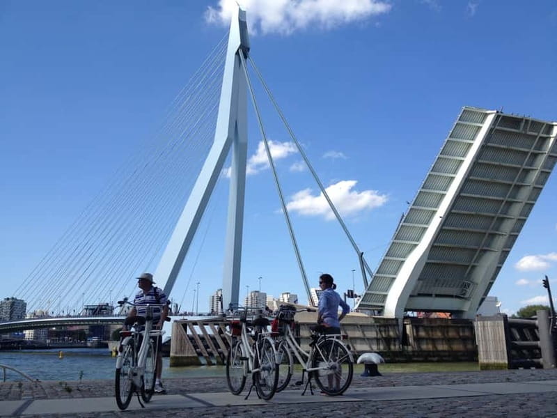 Rotterdam: City Highlights Guided Bike Tour - What the cycling is really like