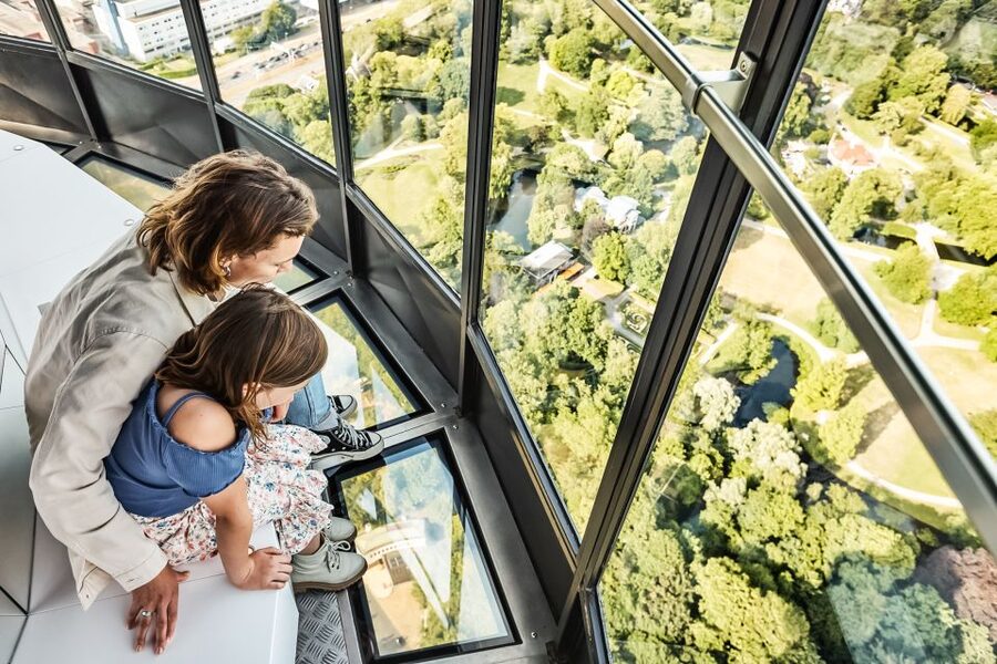 Rotterdam: Euromast Lookout Tower Ticket - Rotterdam from 100 meters above Het Park