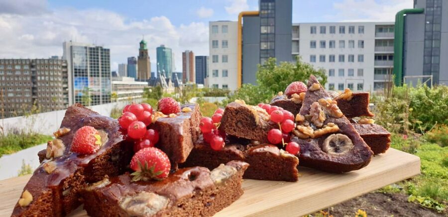 Rotterdam: Food Tour by Bike - Why food is the best way into Rotterdam