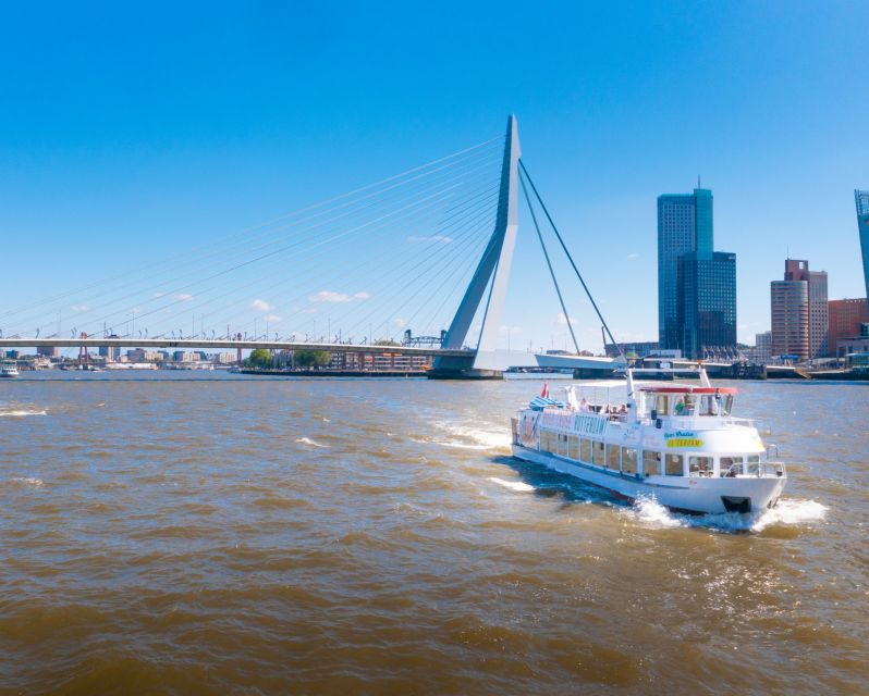 Rotterdam: Harbor Cruise with Live Guide - Comfort, access, and who will enjoy it most