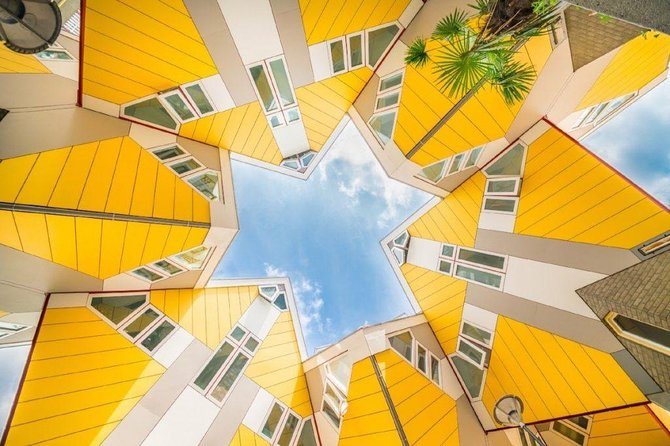 Rotterdam Highlights Private Walking Tour - Why this walk makes sense in Rotterdam