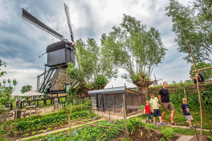 Rotterdam: Kinderdijk UNESCO World Heritage Entry Ticket - Key points at a glance