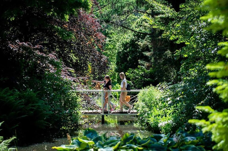 Rotterdam: Trompenburg Botanical Gardens Entry Ticket - Key points to know before visiting