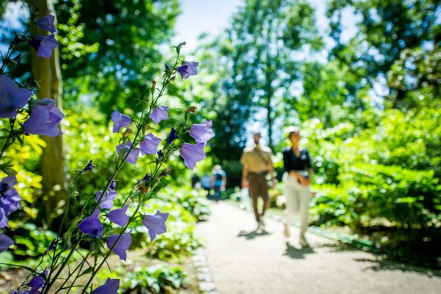Rotterdam: Trompenburg Botanical Gardens Entry Ticket - How to plan your time at Trompenburg