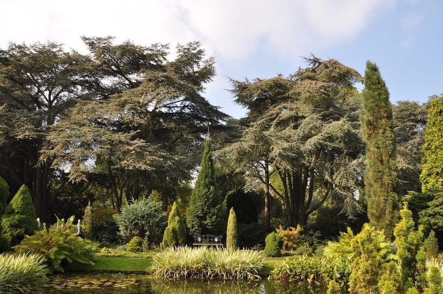 Rotterdam: Trompenburg Botanical Gardens Entry Ticket - Sunday afternoons for a more guided visit