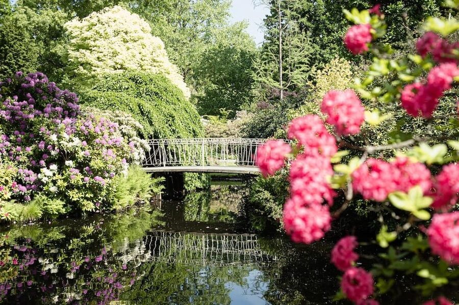Rotterdam: Trompenburg Botanical Gardens Entry Ticket - Walking the eight-acre tree collection