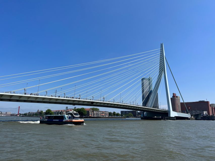 Rotterdam: Waterbus Ticket to Dordrecht and/or Kinderdijk - Add a bicycle or scooter for a bigger day out