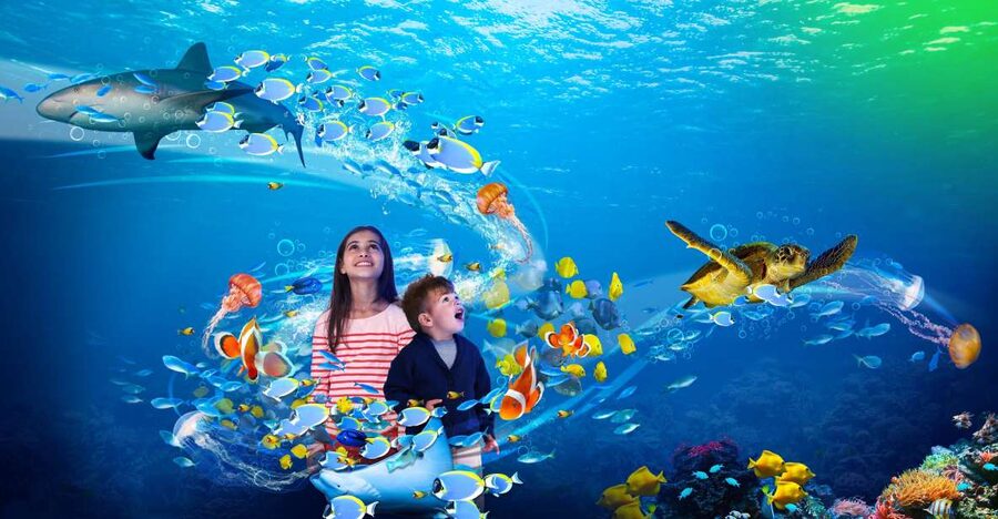 Scheveningen, The Hague: Sea Life Entry Ticket - Feeding sessions give the visit a useful rhythm
