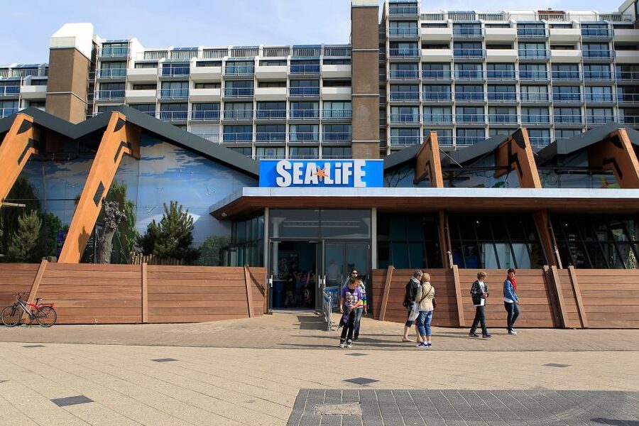 Scheveningen, The Hague: Sea Life Entry Ticket - How long the visit feels at $24