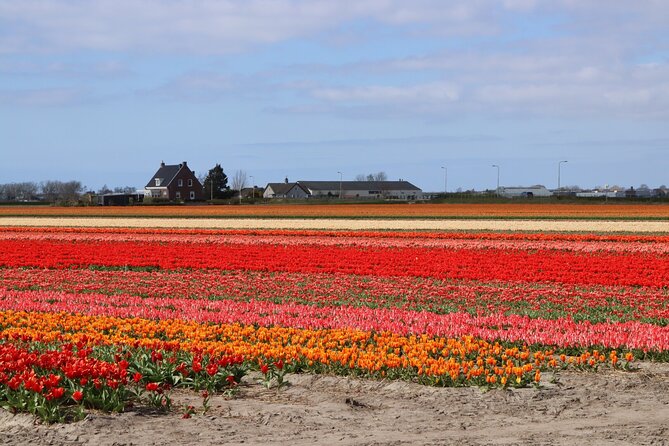 Small Group Keukenhof and Delft Guided Tour from Amsterdam - Why pair Keukenhof with Delft?