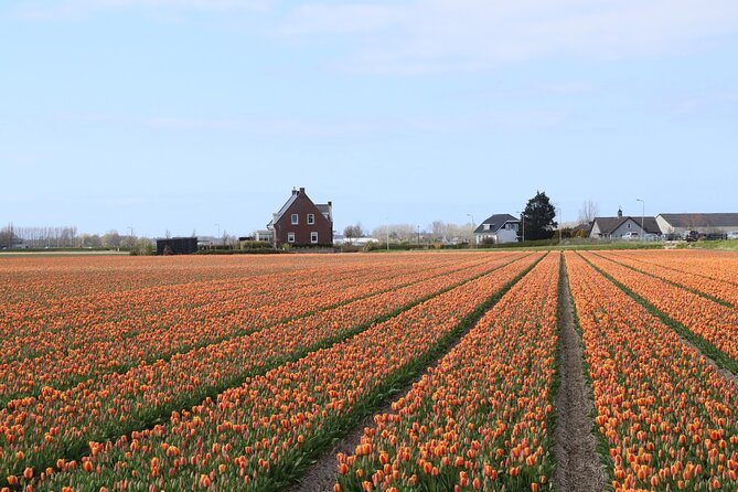 Small Group Keukenhof and Delft Guided Tour from Amsterdam - Is $191.88 a fair price?