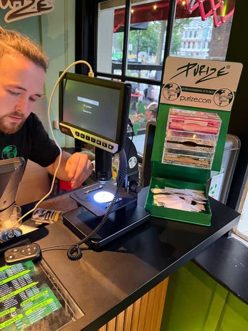 Sprechen Sie Gras? German Tour of Amsterdam's Coffeeshops - Mike Tyson Coffeeshop and the city’s changing culture