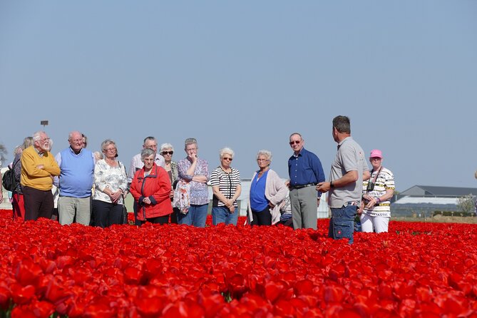 Taking Pictures in the Tulip Field at De Tulperij - Who will get the most from this visit?