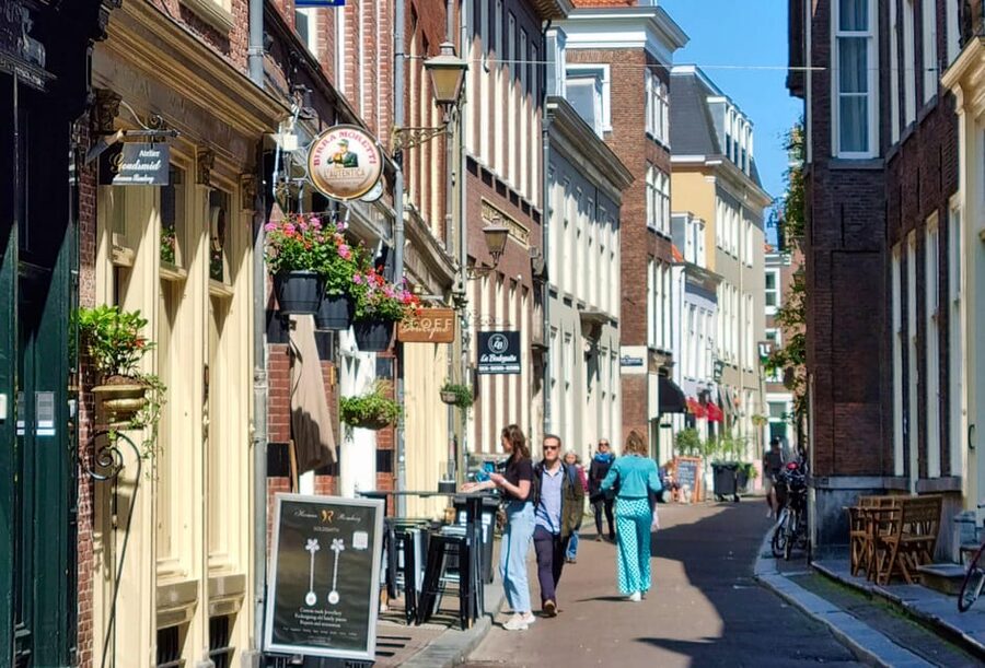 The Hague: City Walking Tour - The Hofvijver and The Hague’s most recognizable view