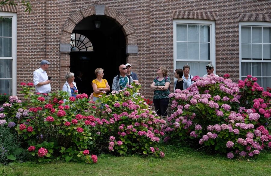 The Hague: Courtyard Walking Tour - Practical advice for a better visit