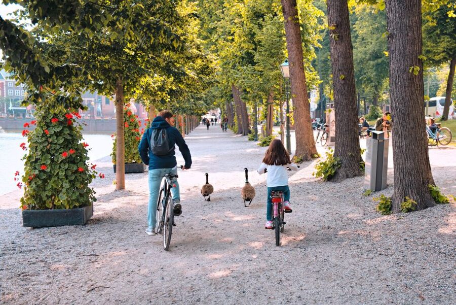 The Hague: Highlights Bike Tour - The historical city center and Binnenhof