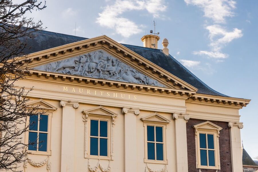 The Hague: Mauritshuis Entrance Ticket - A 90-minute route through the palace