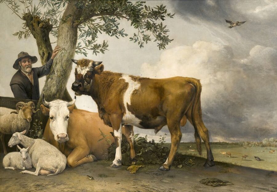 The Hague: Mauritshuis Entrance Ticket - The 2026 BIRDS exhibition