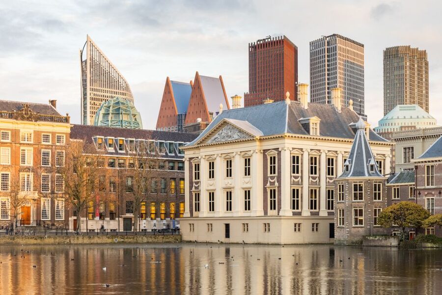The Hague: Mauritshuis Entrance Ticket - Timing, crowds, and a few small restrictions
