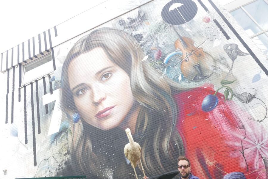 The Hague: Street Art Tour by Bike - Photos, pace, and cycling comfort