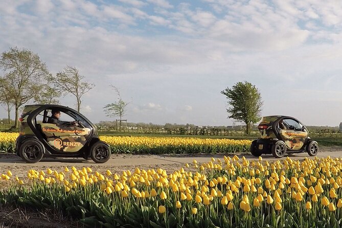 Tulip Fields near Keukenhof - Self-Drive Audio Tour for 2 People - Starting near Keukenhof, but not inside it