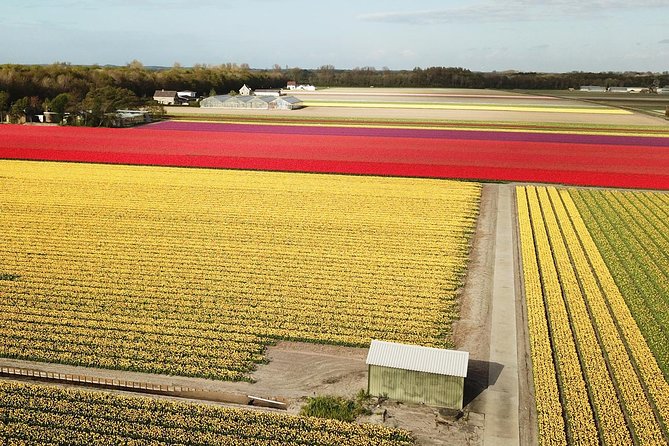 Tulip Fields near Keukenhof - Self-Drive Audio Tour for 2 People - Who will enjoy this tour most?