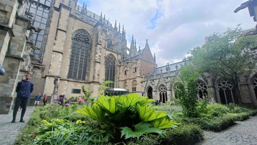 Utrecht: Guided Highlights Walking Tour - The Neude Library and an indoor break