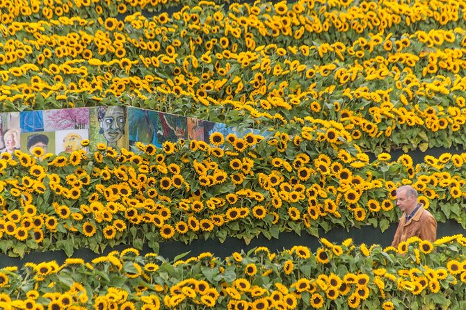 Van Gogh Museum Skip the Queue with Audio Guide - Is $111.74 a fair price?