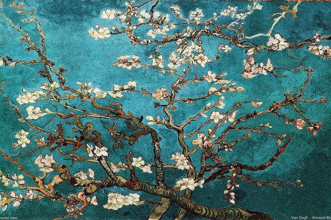 Van Gogh Museum Tour Reserved Entry Semi Private - Paris, color, and the road to The Bedroom