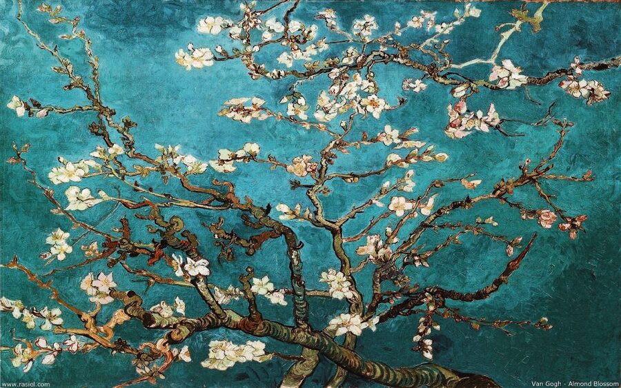 Van Gogh & Rijksmuseum Masterpieces Guided Tour 8 guests 5h - Who will get the most from this tour