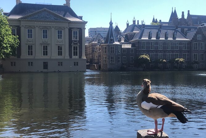 Visit the Girl with the Pearl Earring, The Hague & Delft City - The Mauritshuis and Girl with a Pearl Earring