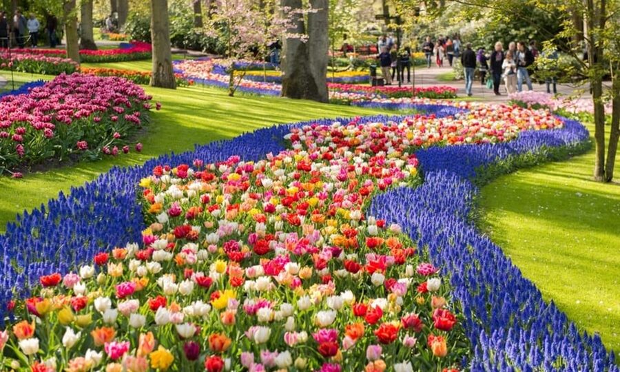 Warmond: Windmill Cruise and Keukenhof Entry Ticket - What the one-hour boat ride is really like