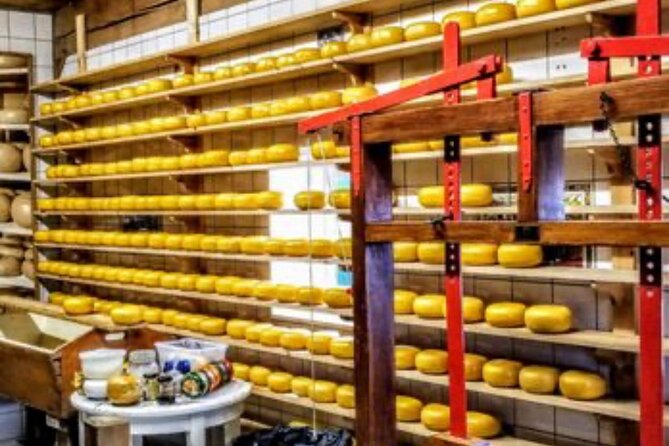 Windmills Country side tour Zaanse Schans-Cheesefactory-Volendam - What is included and what is not