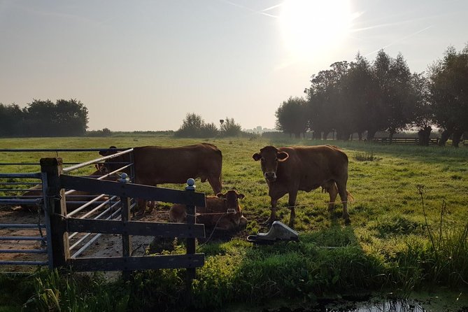 Zaanse Schans and Volendam Private Tour – Clogs, Cheese and More - Comfort, timing, and value at $286.80