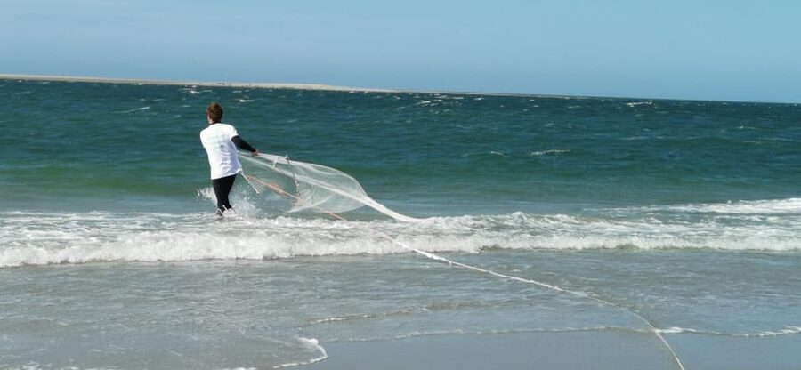 Zeeland Zeehonden strand safari NL/DE - What the guide adds